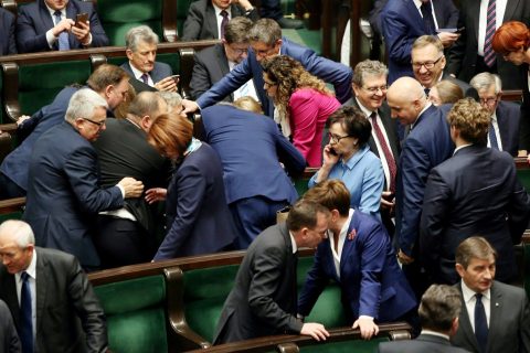 ”Państwo prawa to nie żywopłot, który można dowolnie przycinać”