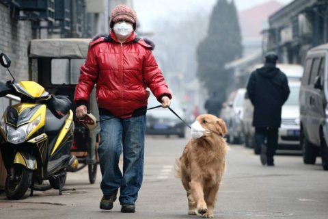 Bartosz Węglarczyk: Smog powinien być ogłoszony zagrożeniem bezpieczeństwa Polaków