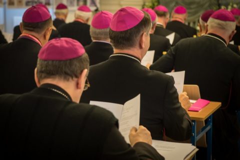 Krzysztof Skiba: biskupi cieszą się autorytetem aż 2 proc. społeczeństwa. Brawo! Nauka Kościoła nie poszła w las