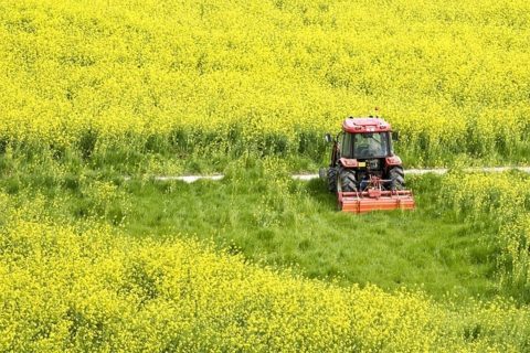 Mały ZUS a działalność rolnicza