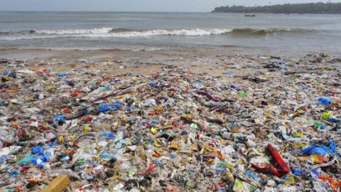 Głośne „Nie” dla plastiku. UE chce zakazać sprzedaży plastiku jednorazowego użytku