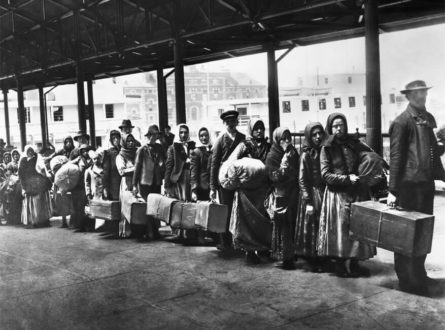 Adam Szejnfeld: Migracja – polskie DNA