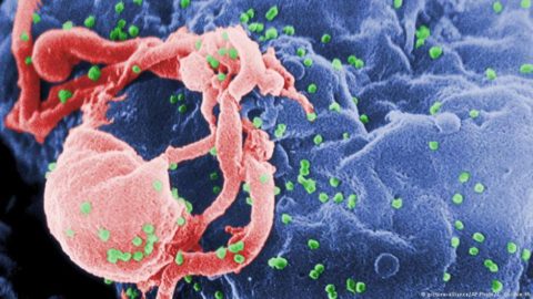 Kolejny, drugi już pacjent w historii wyleczony z wirusa HIV
