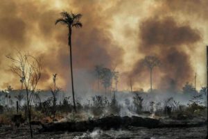 Amazonia