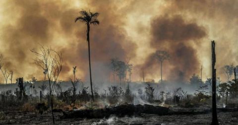 Amazonia