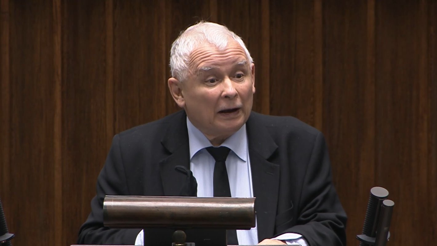 Adam Mazguła: Dojąca partia zgnilizny lawendowej