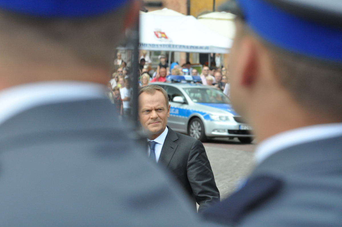 Adam Mazguła: Tusk zapłacił mandat, oddał prawo jazdy. PiS-bandzior zasłoniłby się immunitetem